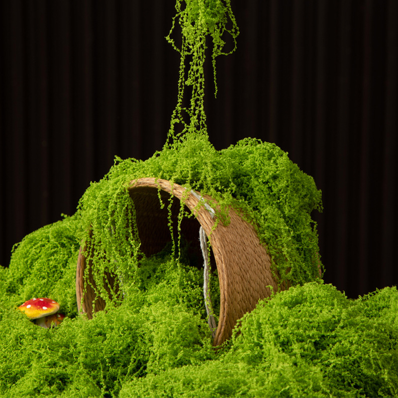 Bonsai Garden For Home - 200g de mousse éternelle pour artisanat