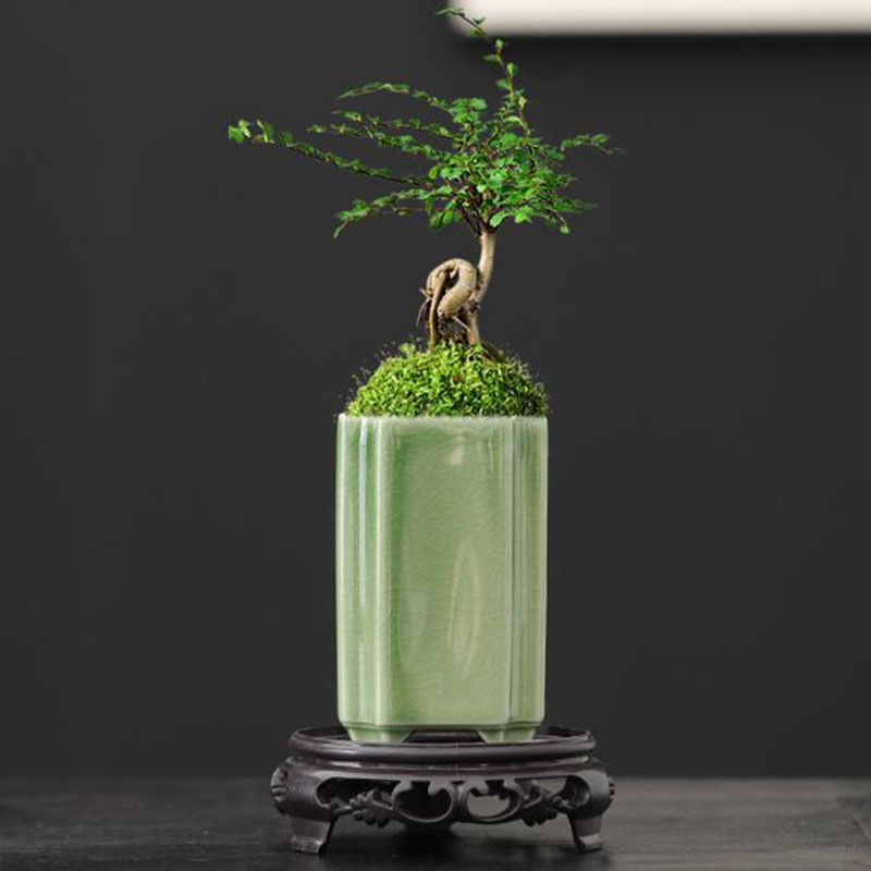 Bonsai Garden Art - Pot de fleurs carré en porcelaine,