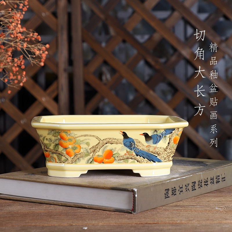 Bonsai Garden For Desk - Pot à Bonsaï Rectangle en Porcelaine,