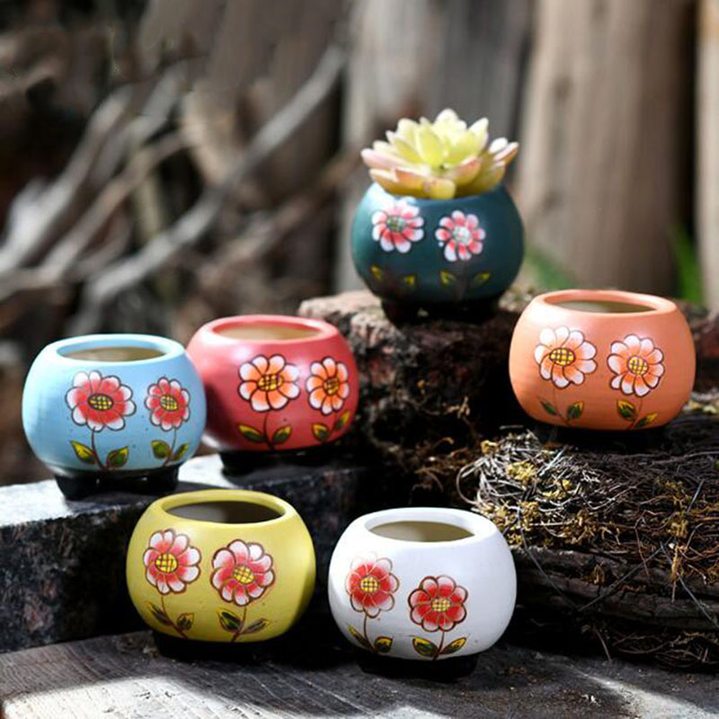 Bonsai Garden Art - Pot de plantes succulentes peintes à