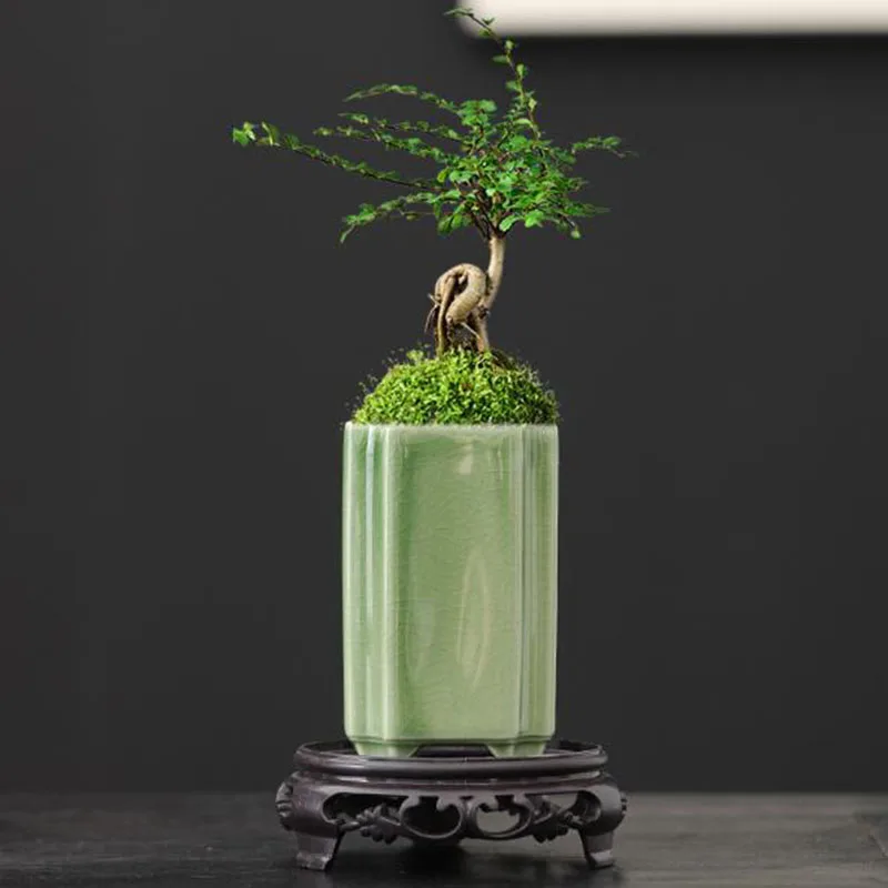 Bonsai Garden Art - Pot à fleurs en céramique carré,
