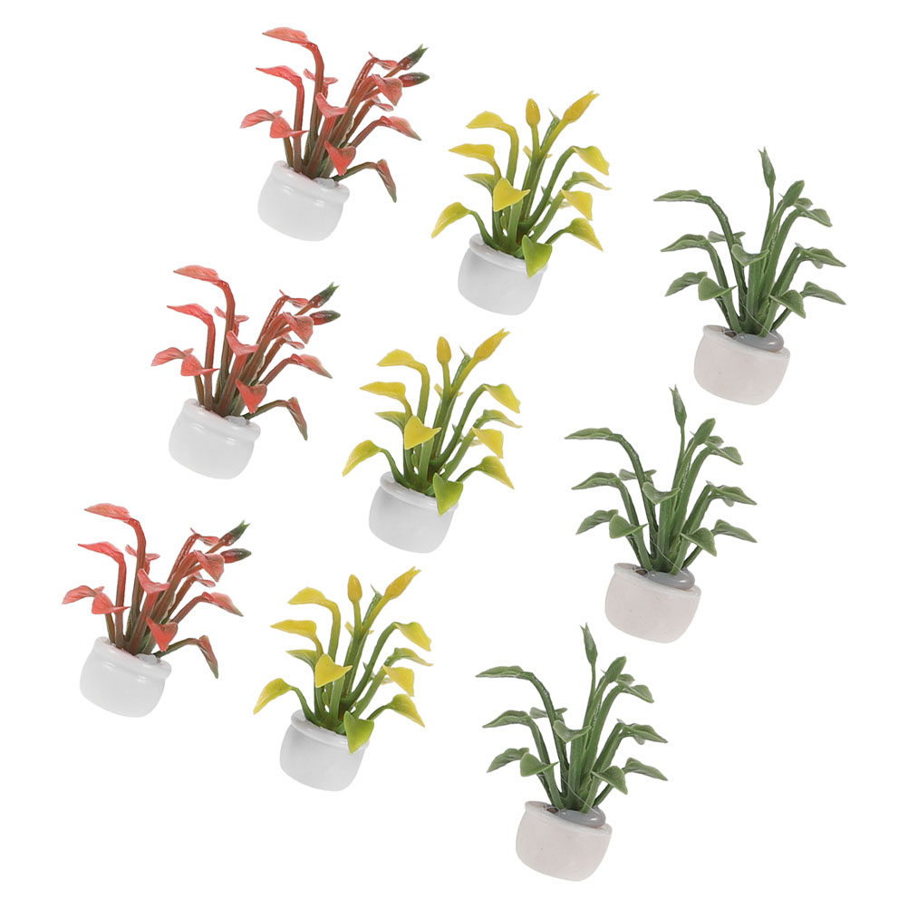 Bonsai Garden For Desk - 9 Pièces de Plantes Miniatures en