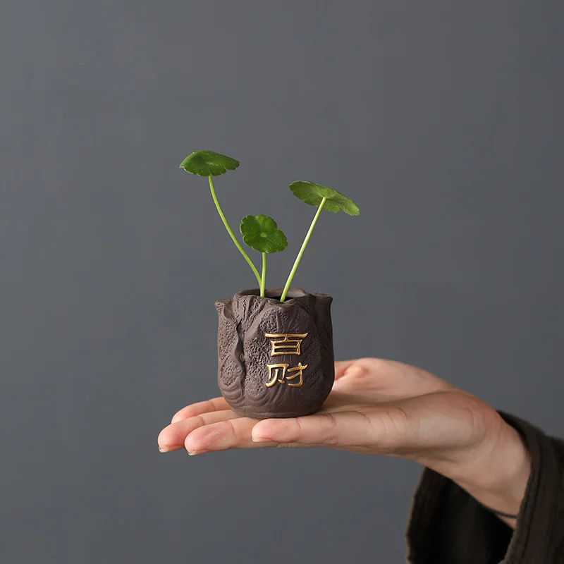 Mini Pot de fleurs en argile v - Bonsai Garden Pot avis et prix