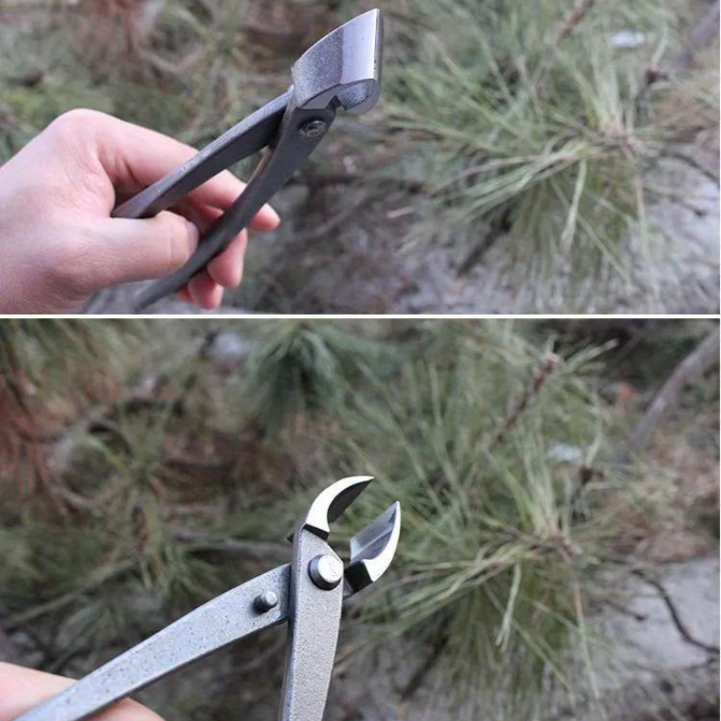 Coupe-bouton pour bonsaï, coup - Bonsai Tool Set avis et prix