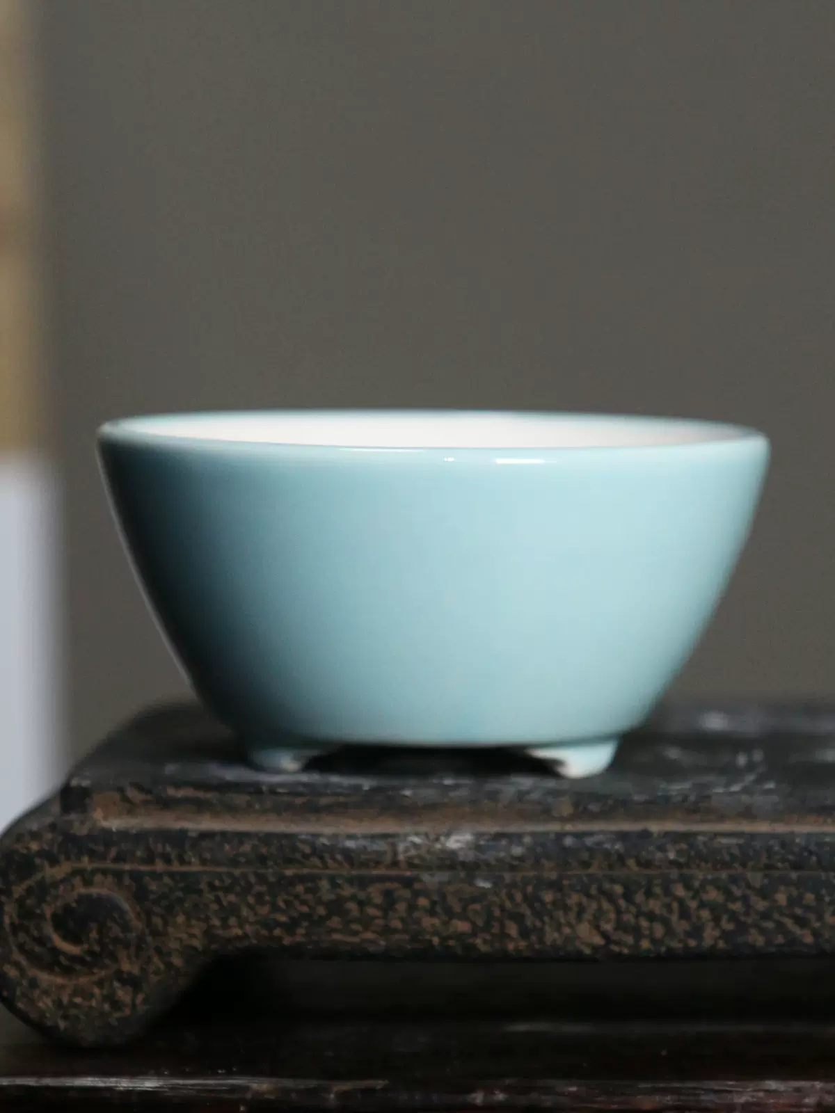 Pot à bonsaï rond coloré en po - Bonsai Garden For Desk avis et prix