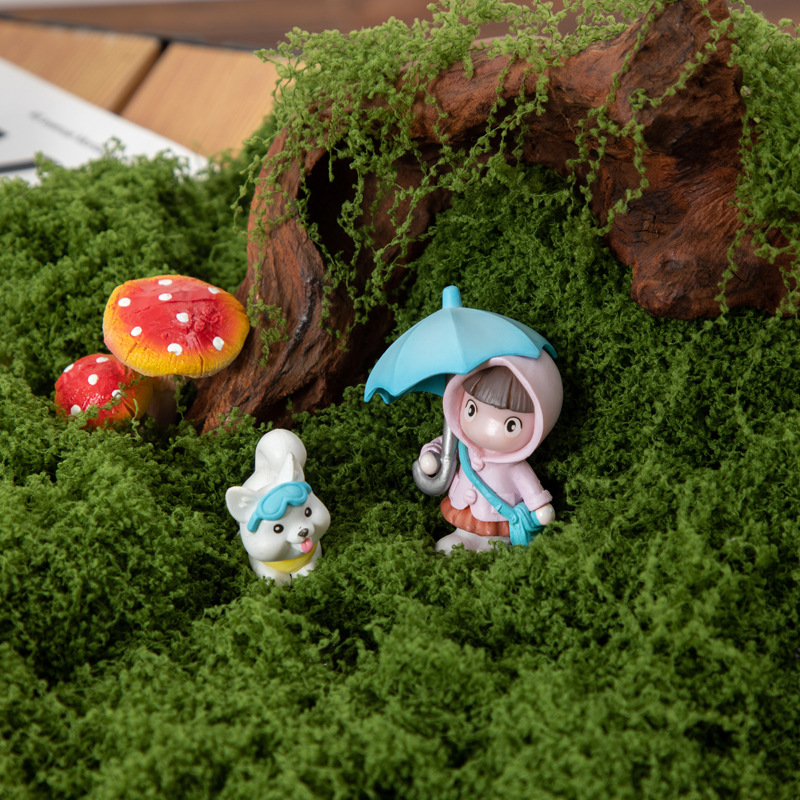 200g de mousse éternelle pour  - Bonsai Garden For Home avis et prix