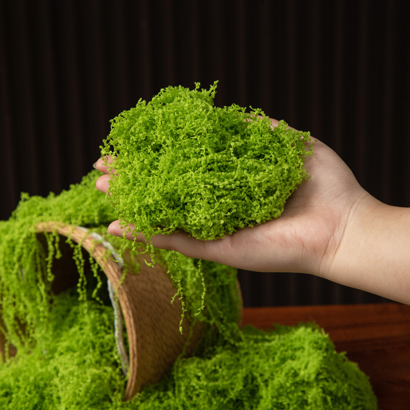 200g de mousse éternelle pour  - Bonsai Garden For Home avis et prix