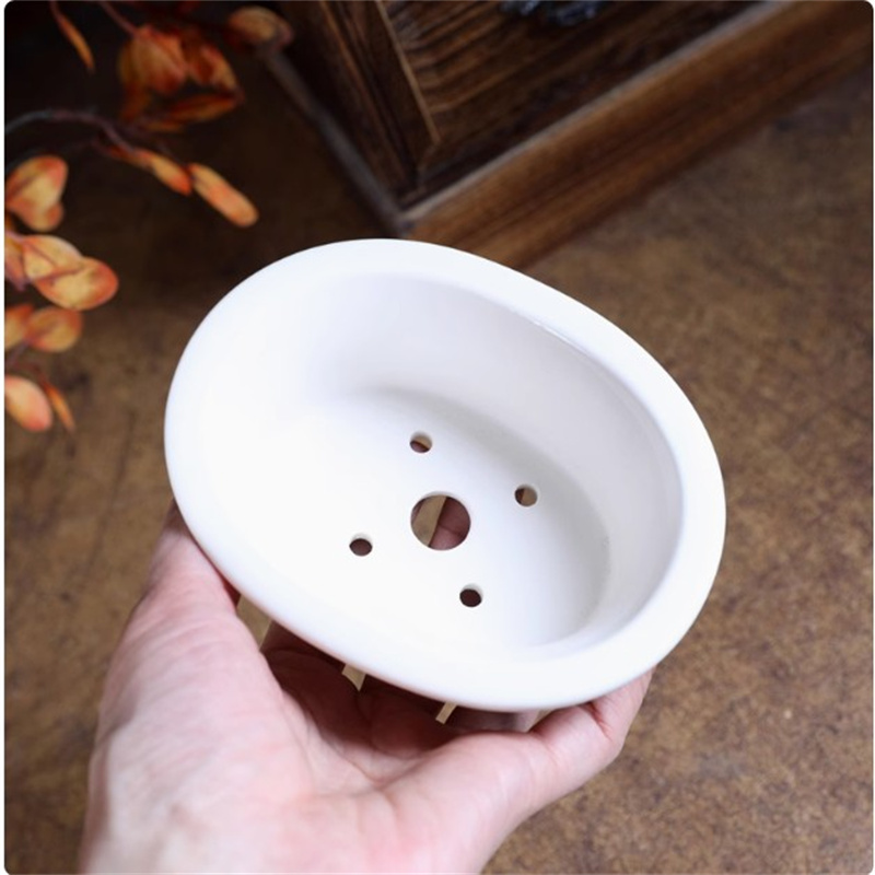 Pot à bonsaï ovale blanc en po - Bonsai Garden For Desk avis et prix
