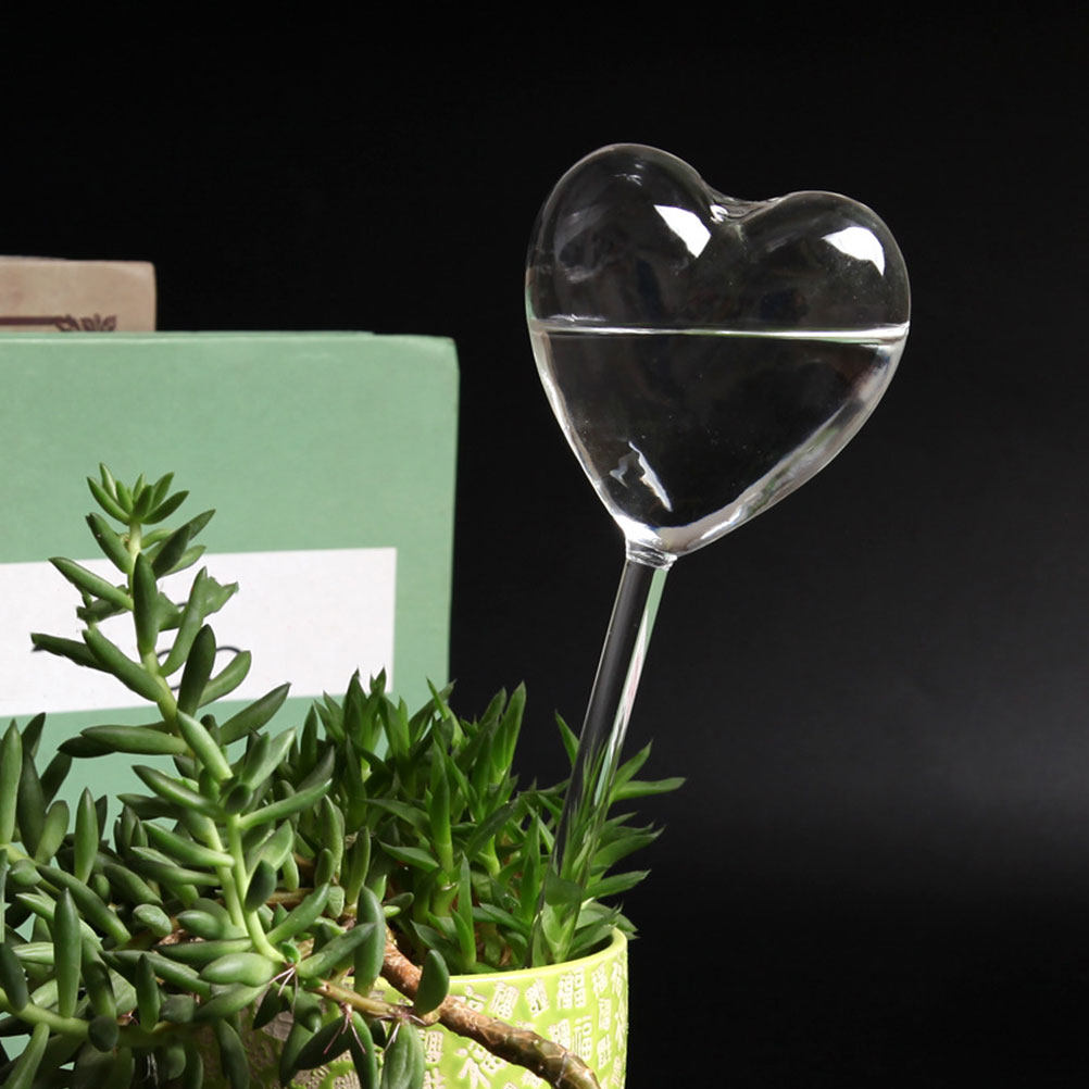 3 globes d'arrosage automatiqu - Bonsai Garden For Home avis et prix