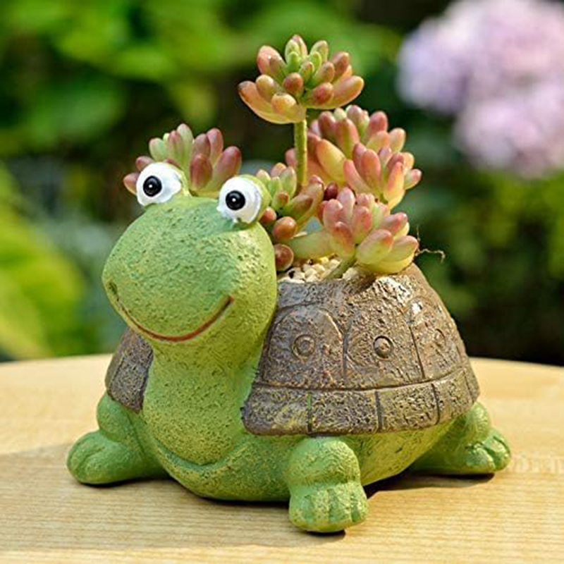 User inière de tortue bonsaï s - Bonsai Garden For Desk avis et prix