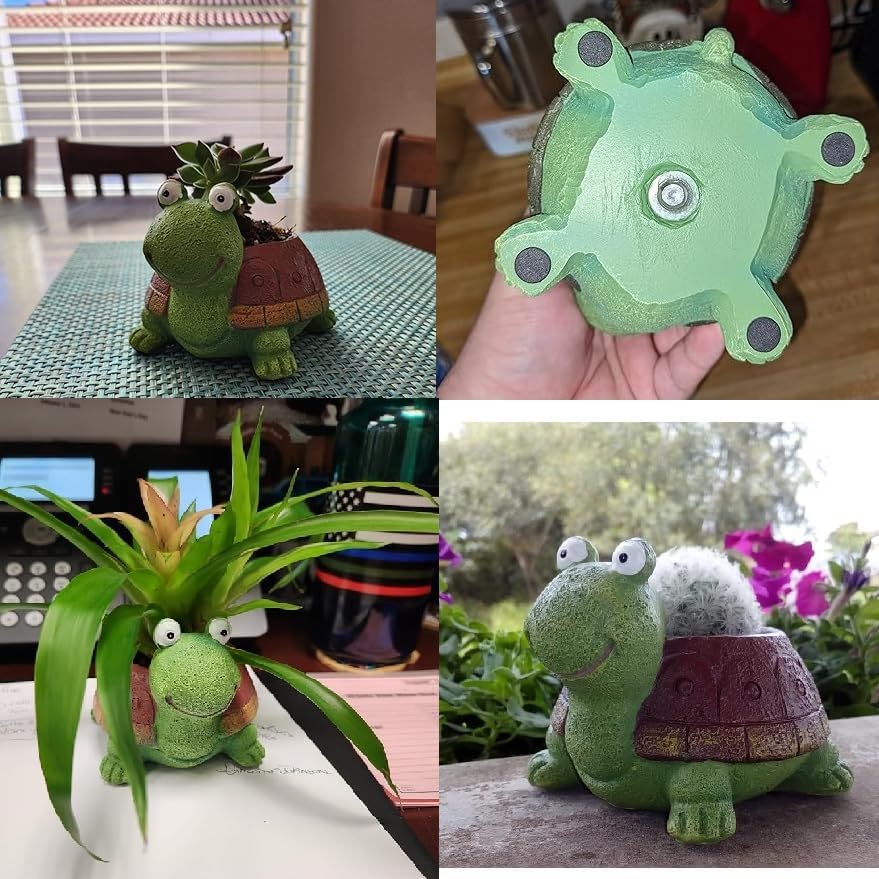 User inière de tortue bonsaï s - Bonsai Garden For Desk avis et prix