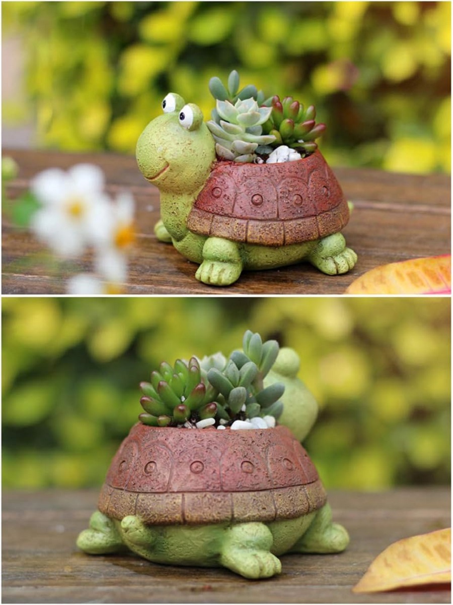 User inière de tortue bonsaï s - Bonsai Garden For Desk avis et prix