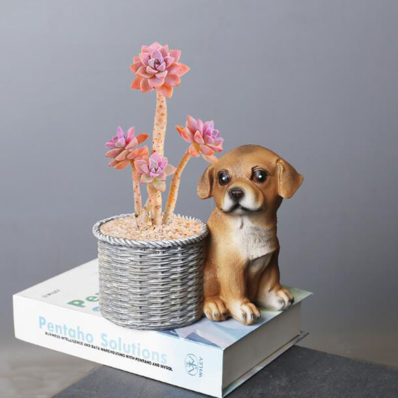 Vase à bonsaï en résine pour s - Bonsai Garden Art avis et prix
