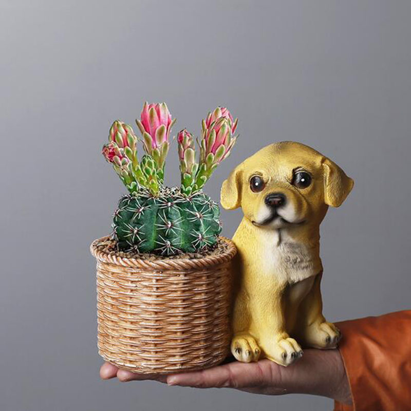 Vase à bonsaï en résine pour s - Bonsai Garden Art avis et prix