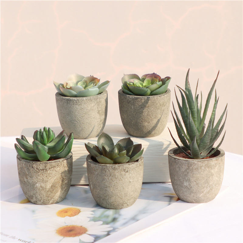 Mini plantes artificielles à l - Bonsai Garden Sushi avis et prix