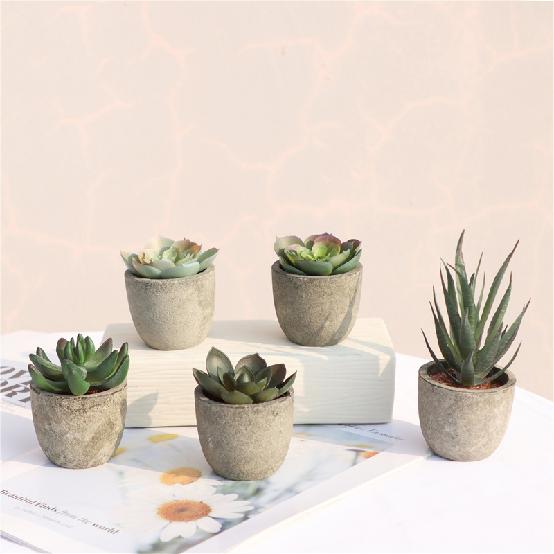 Mini plantes artificielles à l - Bonsai Garden Sushi avis et prix