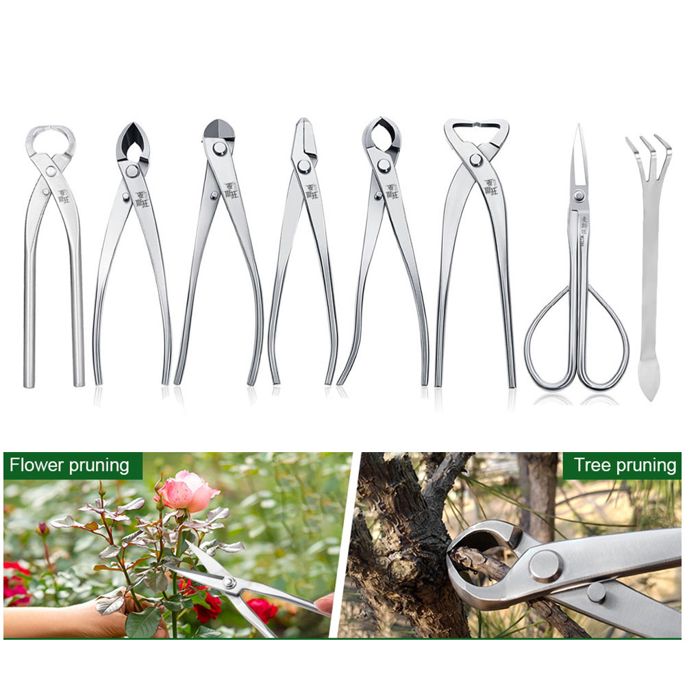 Ensemble d'outils professionne - Bonsai Tool Set avis et prix