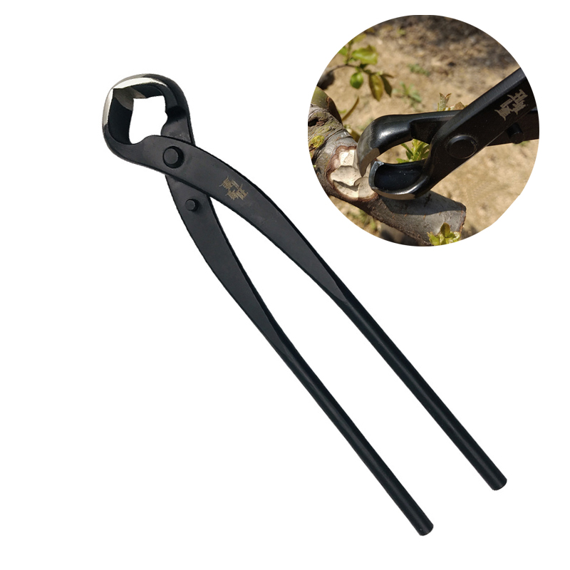 Pince coupante de bord Concave - Bonsai Tool Set avis et prix