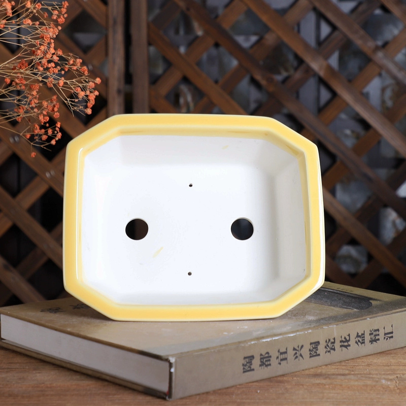 Pot à Bonsaï Rectangle en Porc - Bonsai Garden For Desk avis et prix