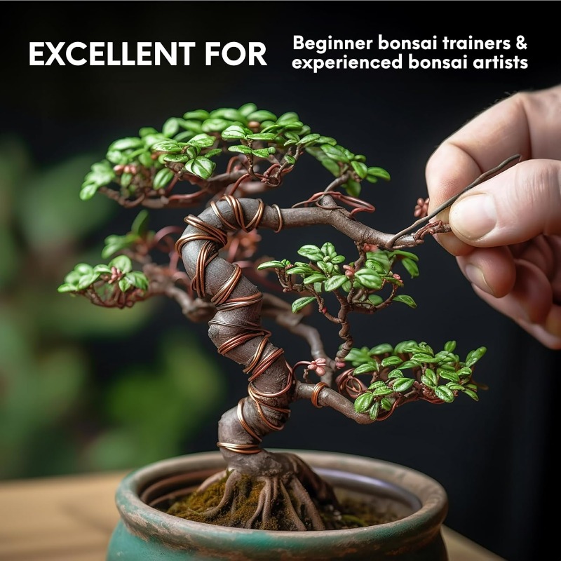 Kit de fil de formation pour b - Bonsai Tool Set avis et prix