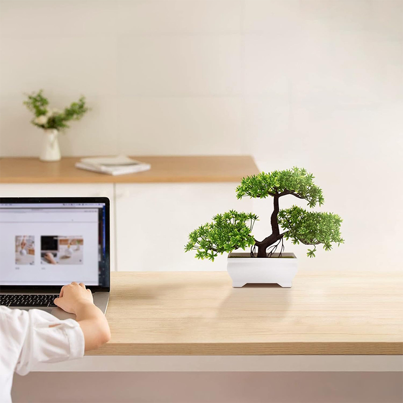 Bonsaï artificiel en plastique - Bonsai Garden For Desk avis et prix