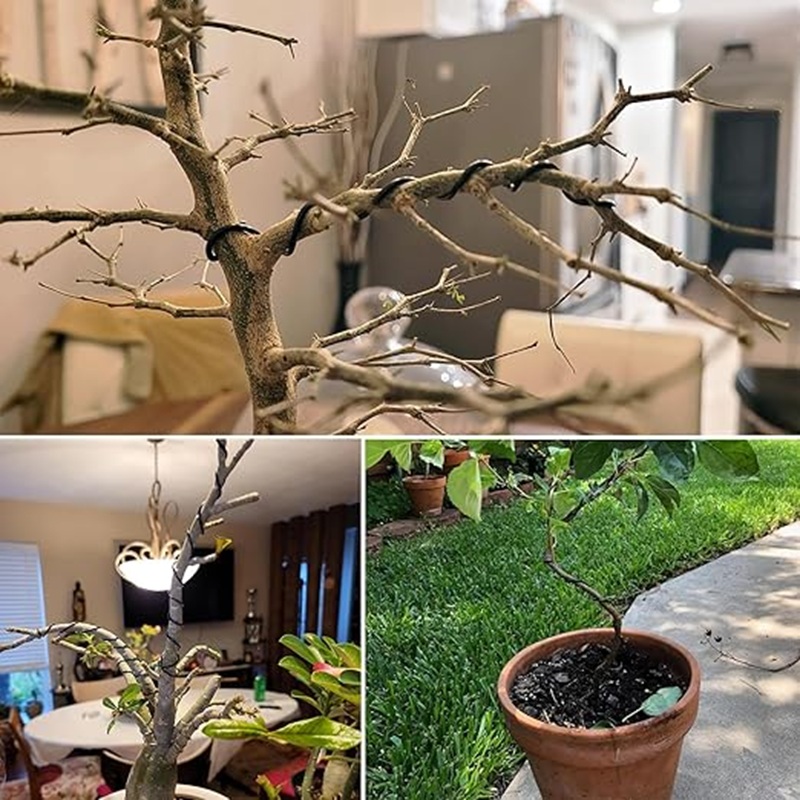 Fil de bonsaï en aluminium noi - Bonsai Garden Art avis et prix