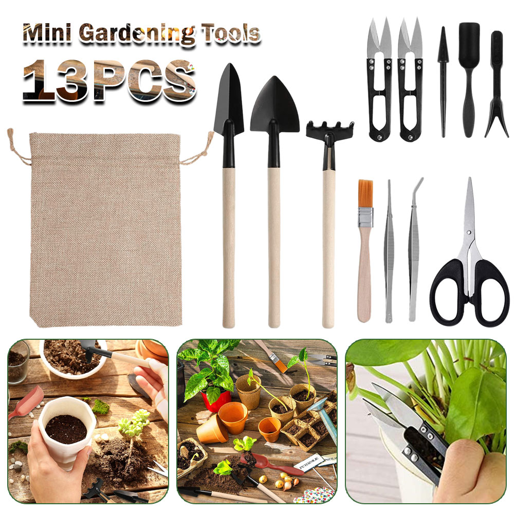 Outils pour plantes succulente - Bonsai Tool Set avis et prix