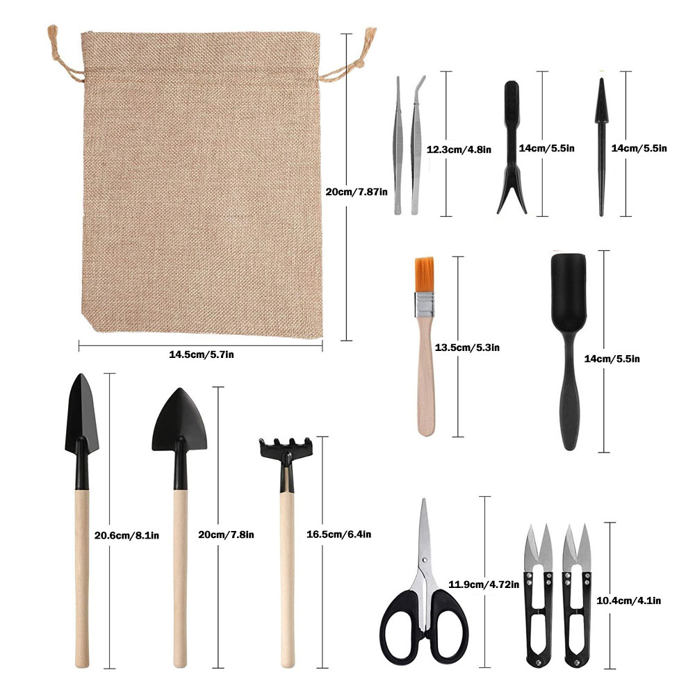 Outils pour plantes succulente - Bonsai Tool Set avis et prix