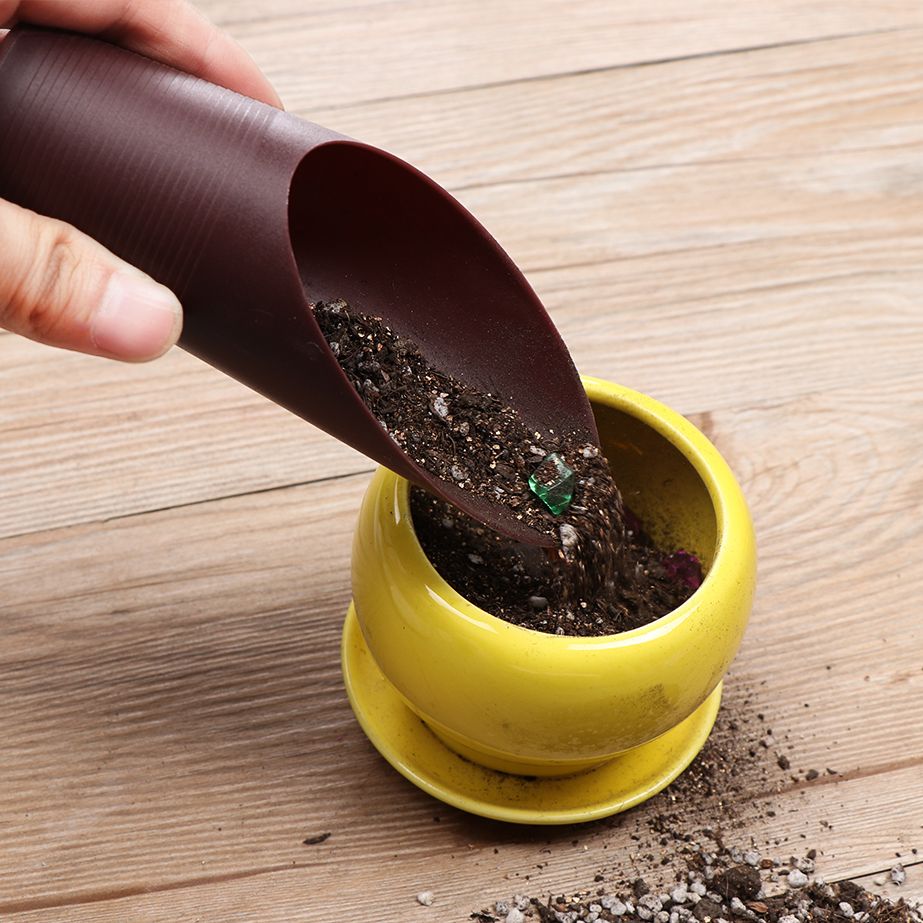 Tasse de pelle à sol en plasti - Bonsai Gardenia avis et prix